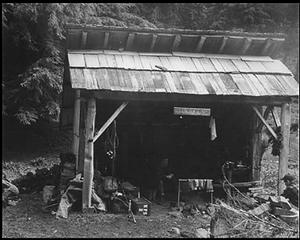 Tshletshy Creek Shelter - Queets Valley - June 1953 - photo courtesy Russ Dalton - NPS photo