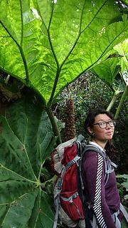 Now this was a really big leaf