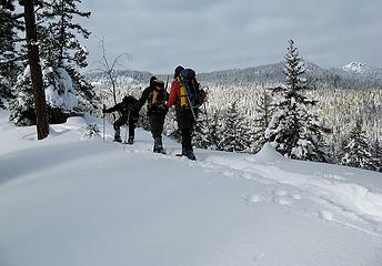 On a ridge crest, with Redtops rocky summit visible at upper right