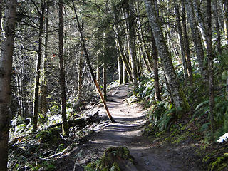 Chirico trail approaching first viewspot.