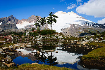 Three Tree Tarn