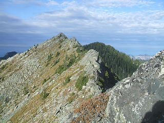 Banana Ridge from Pete's to Web Mtn.