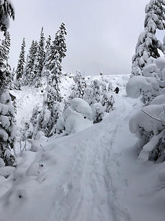 Stevens Pass from the PCT  12/3/18