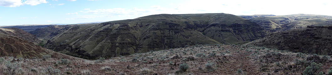 Brushy Creek drainage.