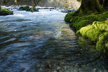 Dosewallips River near Elkhorn Camp