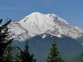 Rainier from Crystal Peak trail.