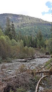 Wanlick Creek on South Fork Nooksack on PNT