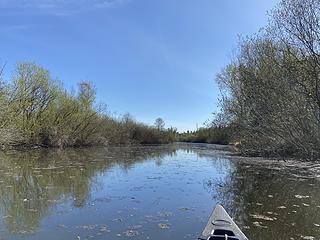 Mercer slough, Bellevue Washington