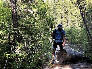 Log crossing near Chewuch/Tungsten intersection