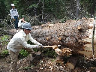 9.Precision stob chopping