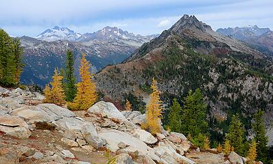Larches with Glacier, Clark, Bandit, and Buck