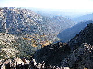 Larches in the valley below Bismarck Pk.