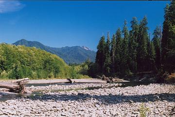 pelton-from-below-tshletshy-082806