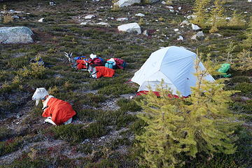 last nights camp near PCT