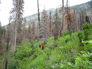 War Creek Valley