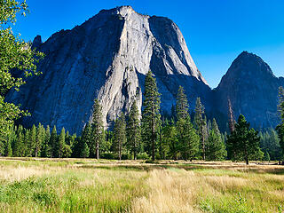 El Cap from the valley