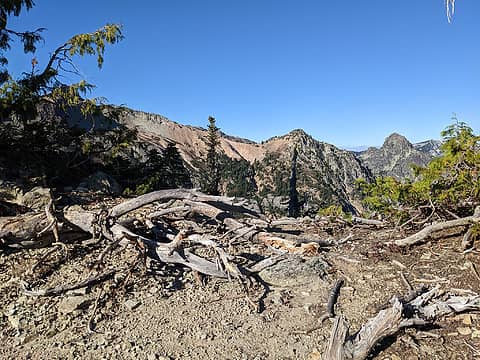 North side bootpath starts behind these trees