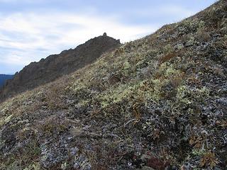 Lichen heath tundra on Buckhorn Mountain