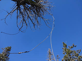 Telephone cable dangling from platform above.