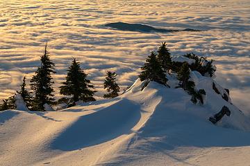 clouds, trees, and snow