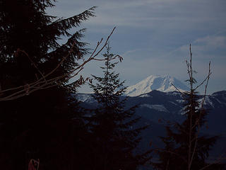 Rainier from the Fire Road