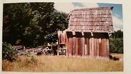Andrews Barn - Queets Valley - mid-late-1980s - photo courtesy V. Heemstra
