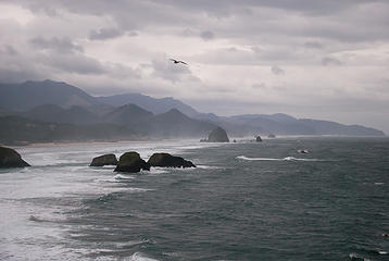 Ecola