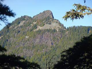A view of Palmer Mtn from ridge top.