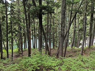 Traversing above middle lake