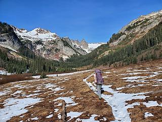 Spider Meadow