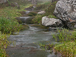 Moss carpeted Creek. 
Shuksan, Lake Ann 9/22/12
