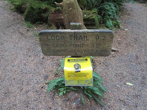 Loop Trail