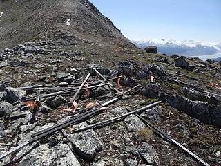 Prospecting posts--there is supposedly an active mine at the bottom of the western slope of Glacier View Peak