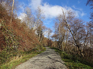 Gated gravel access road down to the beach.