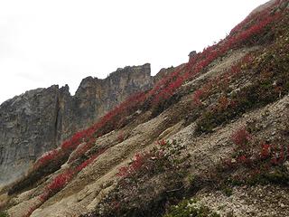 Red and granite