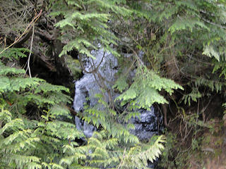 Little waterfall shortly up Tiger road.