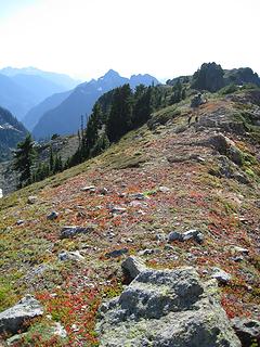 fall colors along the ridge