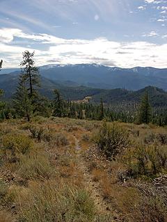 New trail we found leading along the ridge towards the lower meadows.