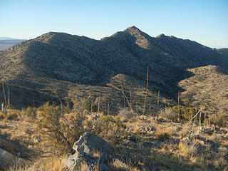 looking back at Mescal