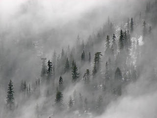 Clouds, trees, and snow