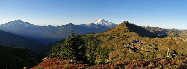 Shuksan and Baker from Yellow Aster Butte