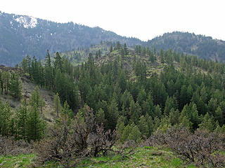 Looking back at the higher N orth ridge