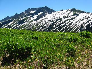 Indian Head Peak