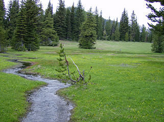 Little creek through the meadows.