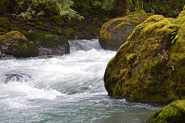 Mossy rocks