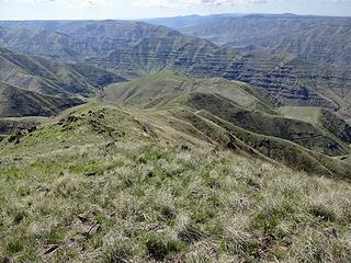 The ridge I'll be walking down to Green Gulch. It's about a 3000' descent. Ow.. my knees!