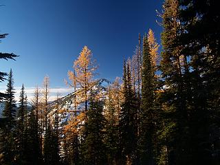 More Larches and Garland Peak