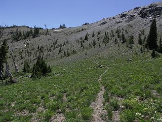 Open trail going to the ridge and jct. with the County Line trail.