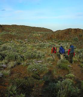 walking through the flowers. The whole time you hike get strong smells of sweet Phlox...