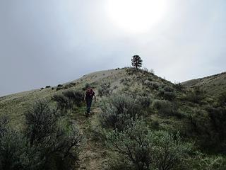 Heading up Windy Ridge